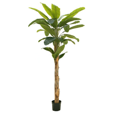 Kuenstlicher Bananenbaum 210 cm mit grossen, realistisch gestalteten Blaettern – ideal fuer Wohnzimmer, Buero oder Lobby