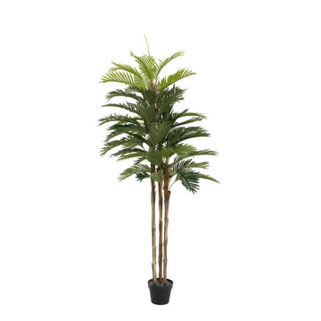 Künstliche Kentia Palme 150 cm – Studioaufnahme der ganzen Pflanze