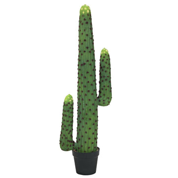 Sierra Verde No. 117 – Kaktus