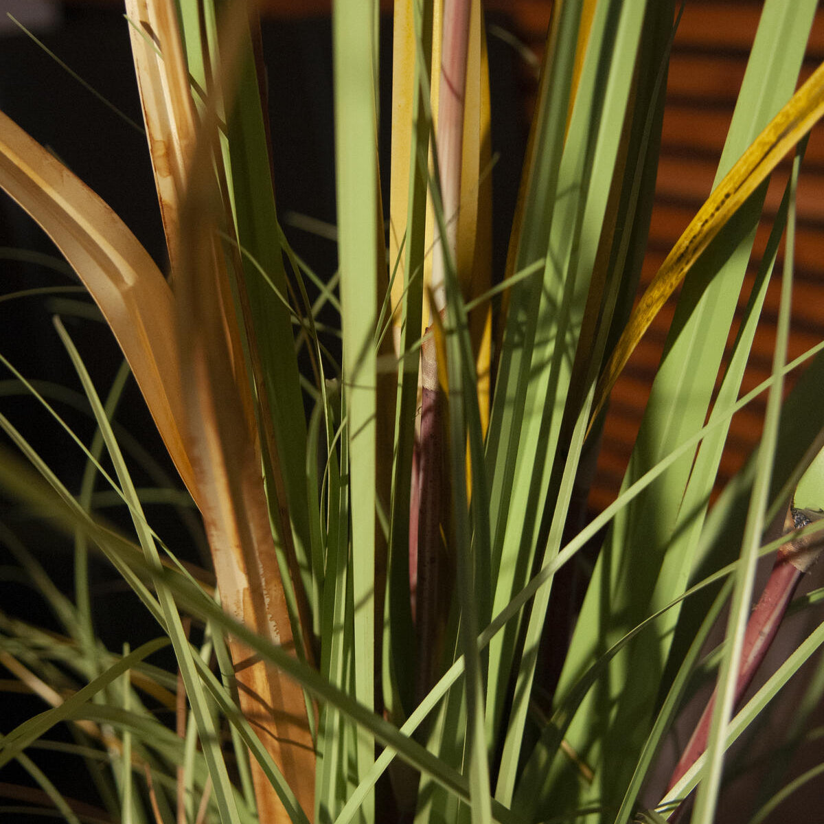 Wildgrasstaude kuenstlich 120 cm – realistische Pflanzendeko fuer ruhige Wohnkonzepte