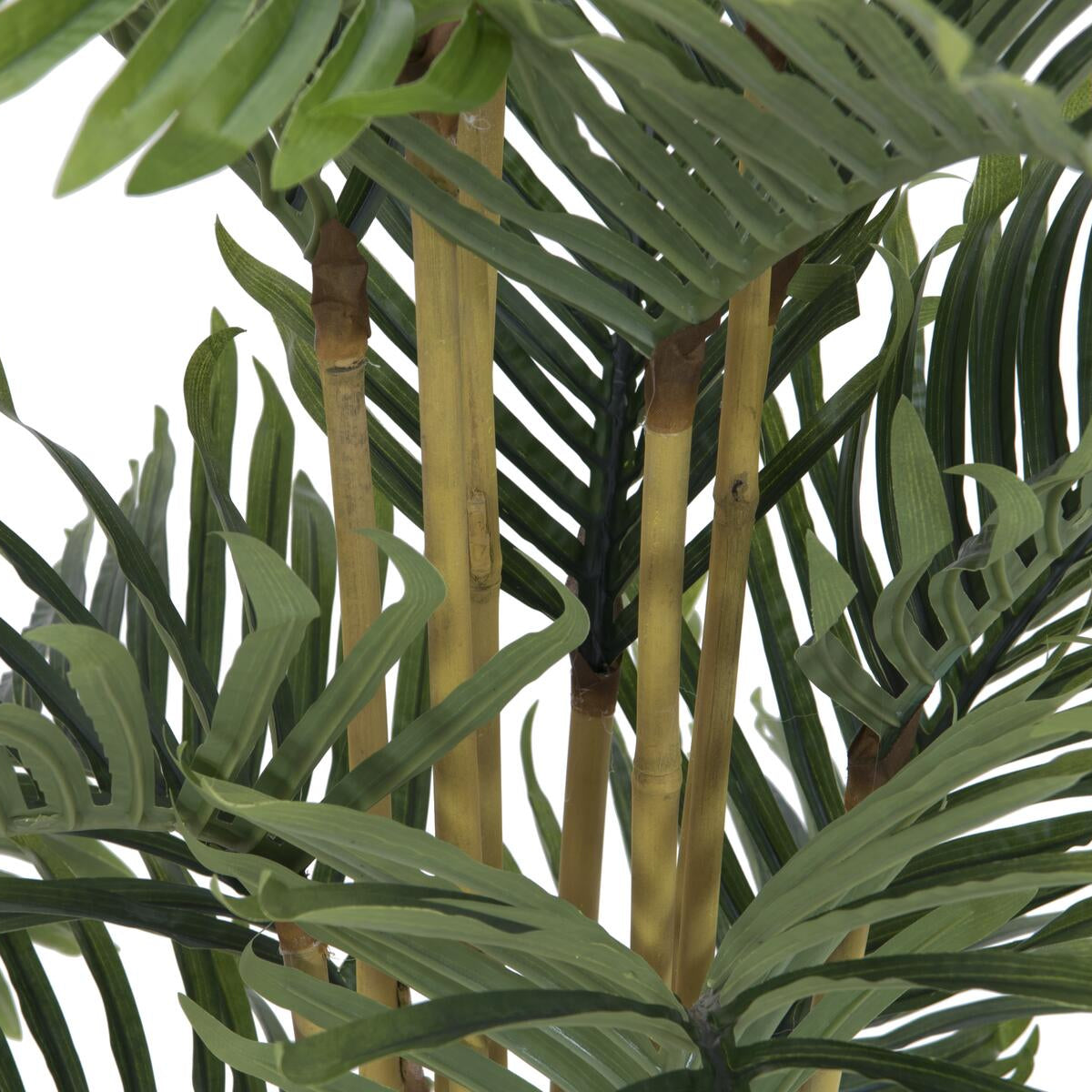 Nahaufnahme der Stämme und Blätter der künstlichen Kentia Palme