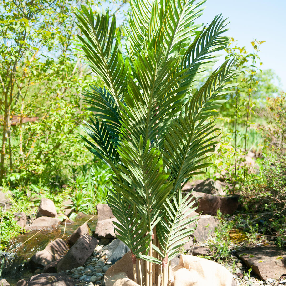 Künstliche Kentia Palme auf Steinen im Garten, Basis mit Jutesack abgedeckt