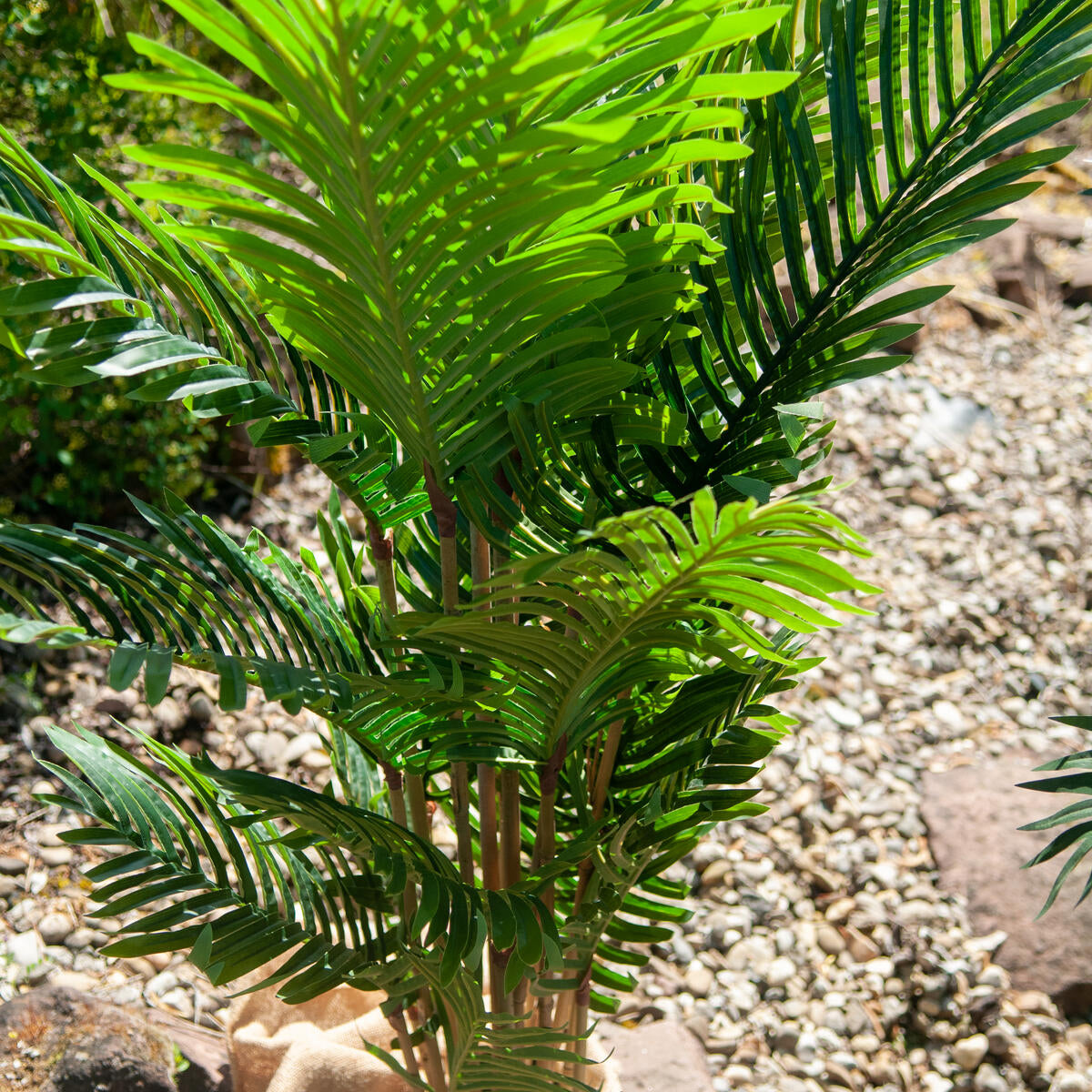Dekorative künstliche Kentia Palme 140 cm – ideale Zimmerpflanze für moderne Wohnräume