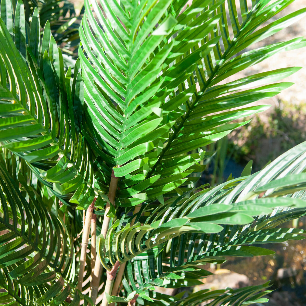 cRealistische Kunstpalme mit feinen Palmwedeln – Kentia 140 cm für Zuhause & Büro