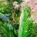 Pflegeleichte Kentia Palme aus Kunststoff – naturgetreu und langlebig