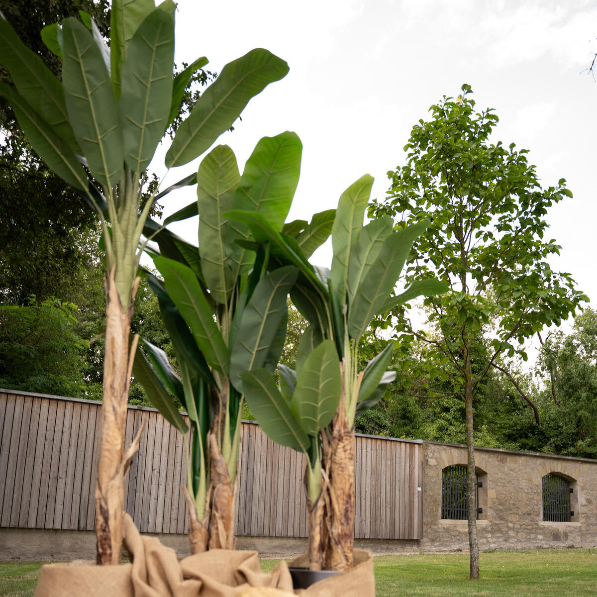 Künstlicher Bananenbaum 170 cm