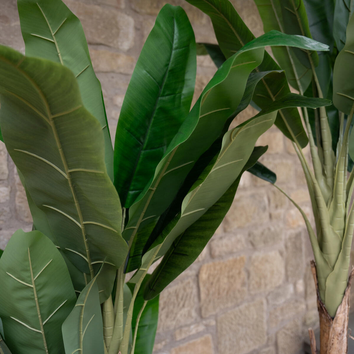 Kuenstlicher Bananenbaum 170 cm mit tropischer Ausstrahlung – perfekt fuer Innenbereiche
