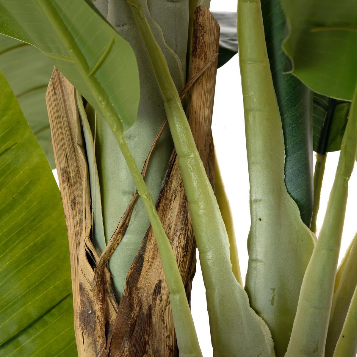 240 cm hoher Kunst-Bananenbaum mit lebendigem Gruenton – ideal als Blickfang in offenen Wohnbereichen
