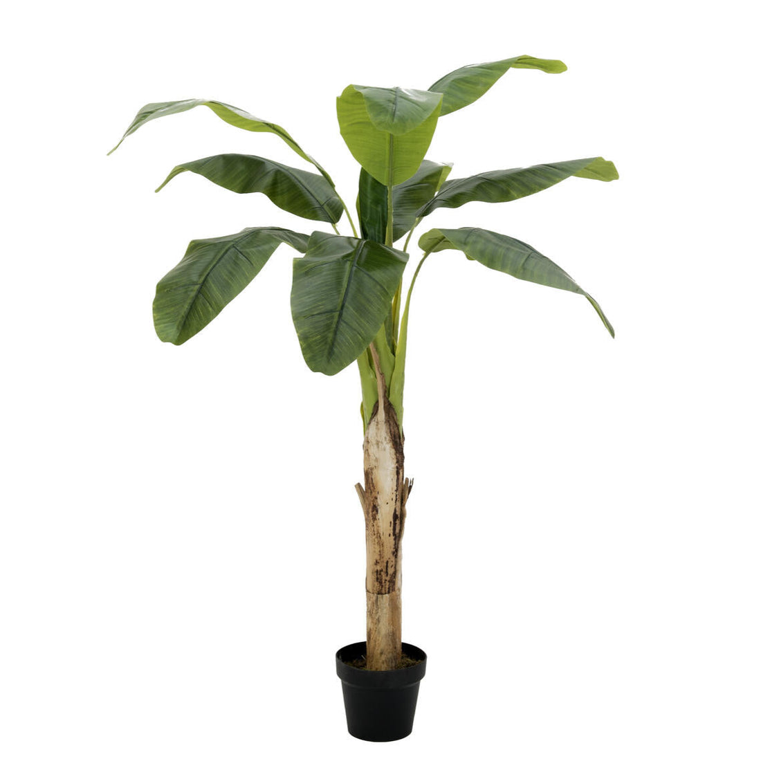 Kuenstlicher Bananenbaum 145 cm mit breiten, natuerlich geformten Blaettern – pflegefreie Tropendeko fuer Innenraeume