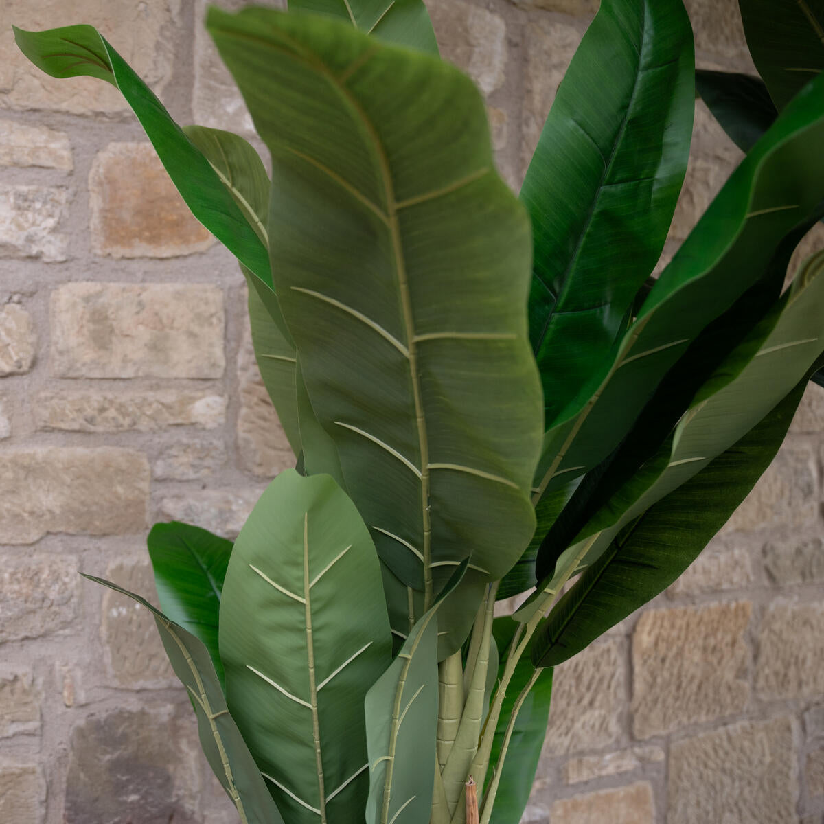 240 cm hoher Kunst-Bananenbaum mit tropischem Stil – formstabile Blaetter und natuerlicher Wuchs