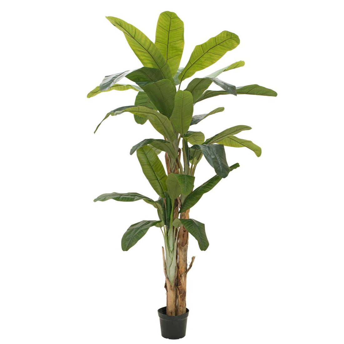 Kuenstlicher Bananenbaum 240 cm hoch mit grossen, satten Gruenblaettern – beeindruckende Raumdekoration