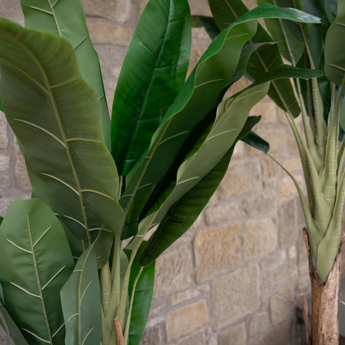 Kuenstlicher Bananenbaum mit tropischem Look – 120 cm gross, ideal fuer stylische Begruenung