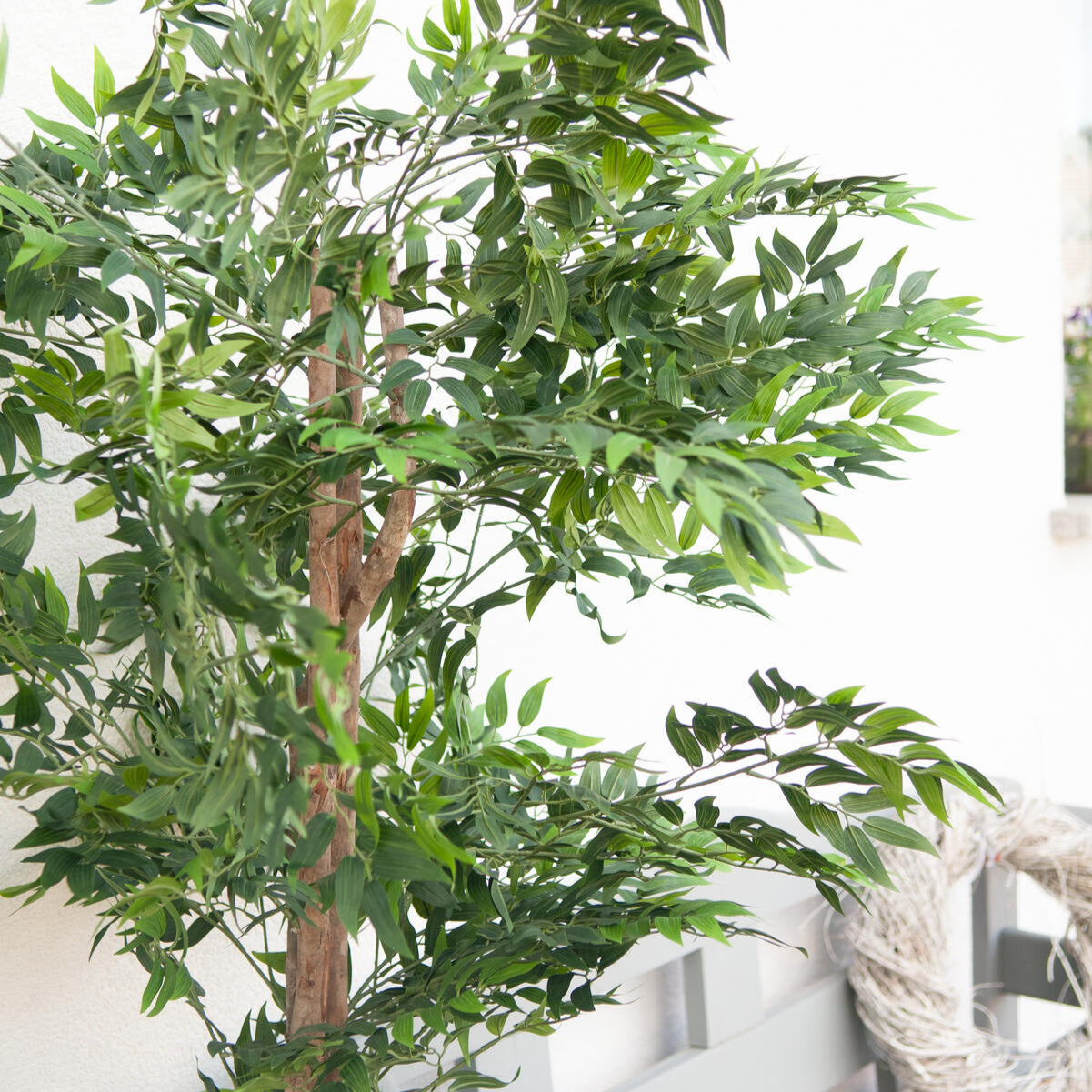 Ficus Longifolia Kunstbaum mit tropischem Charakter – 165 cm gross, ideal fuer moderne Dekoration