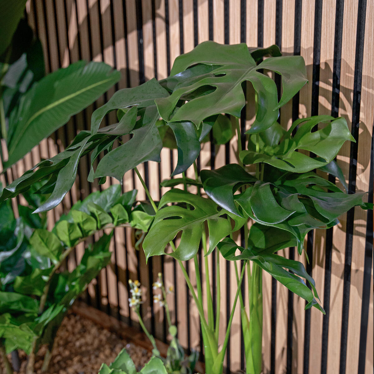Kuenstliche Monstera 90 cm mit naturgetreuem Wuchs – perfekt als Deko im Flur, Wohn- oder Essbereich