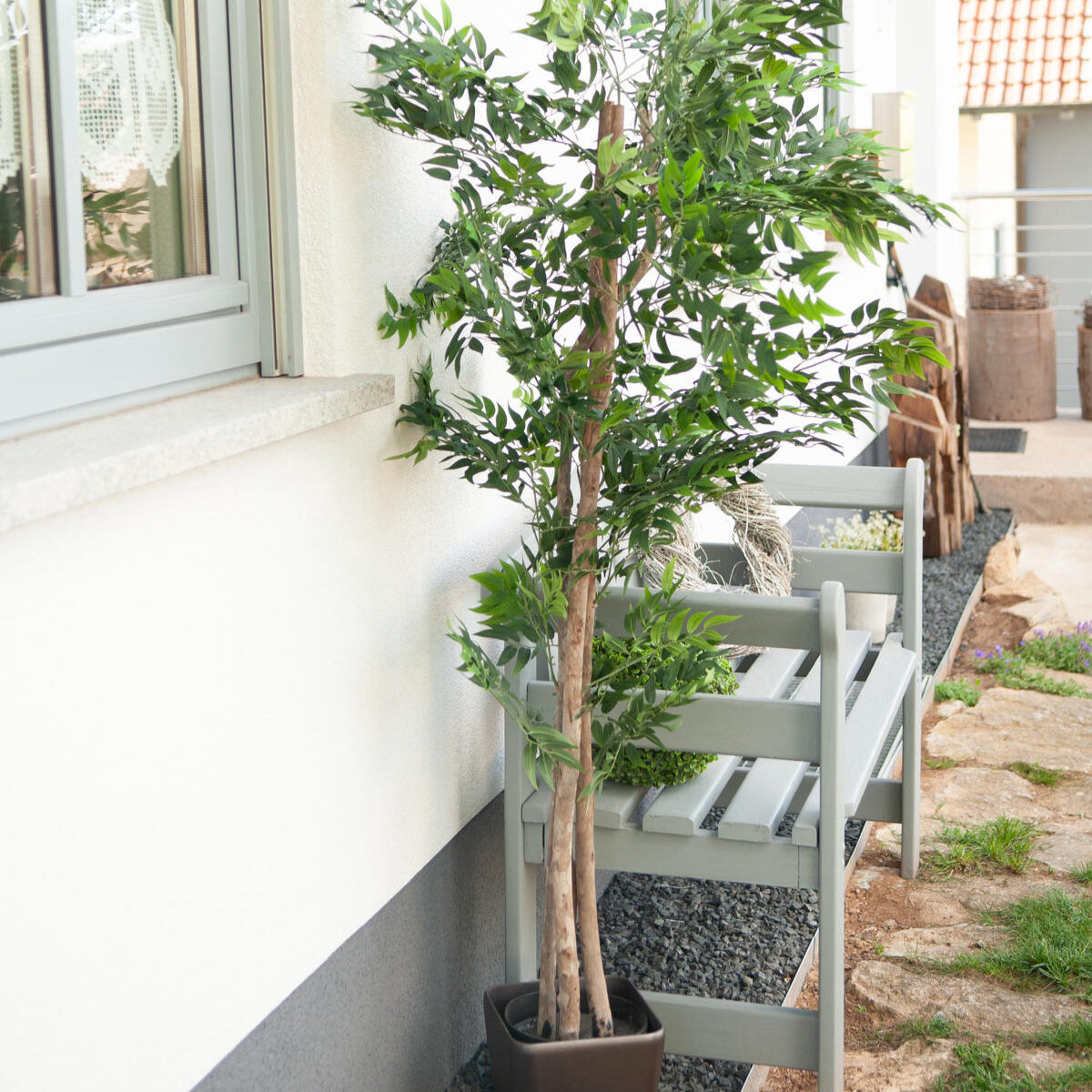 165 cm hoher Kunst-Ficus Longifolia mit schmalen Blaettern – langlebig und pflegefrei