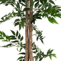 Kuenstlicher Ficus Longifolia 165 cm mit dichter Krone – ideal fuer Buero oder Praxis