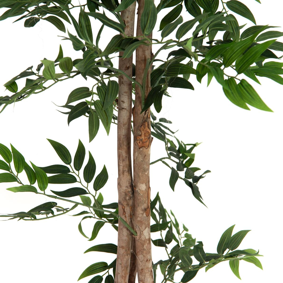 Kuenstlicher Ficus Longifolia 165 cm mit dichter Krone – ideal fuer Buero oder Praxis