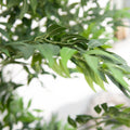 Kuenstlicher Ficus Longifolia mit naturgetreuem Wuchs – 165 cm hoch, fuer Innenbereiche geeignet