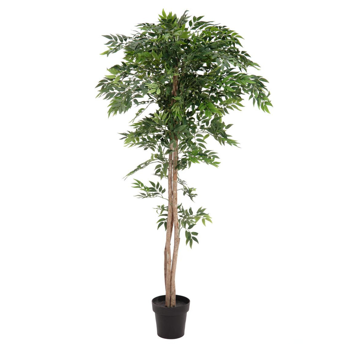 Kuenstlicher Ficus Longifolia 165 cm mit langen, schmalen Blaettern – stilvolle Dekopflanze fuer Innenraeume
