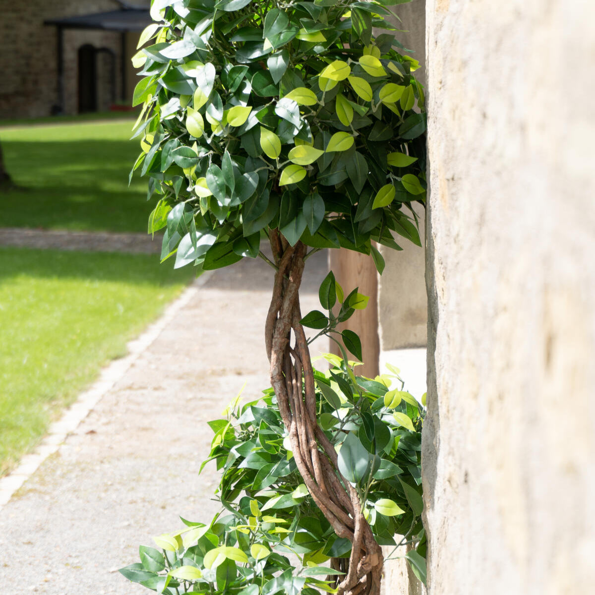 Kuenstlicher Ficus mit lebendiger Blattstruktur – 160 cm hoch, als Raumtrenner oder Dekoelement nutzbar