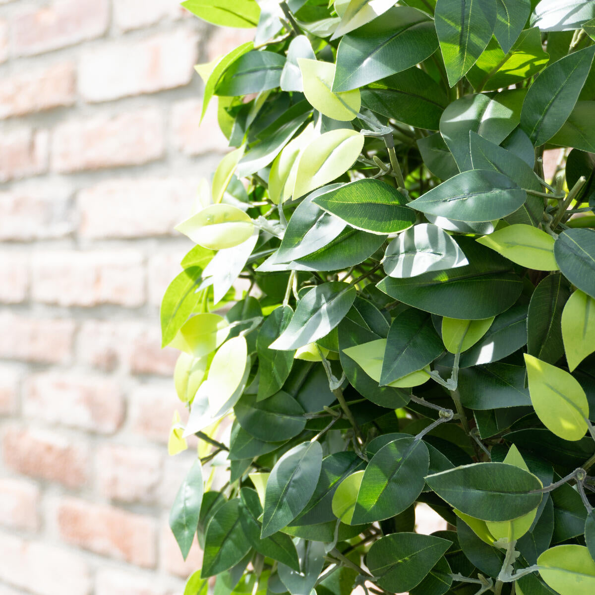 Kunst-Ficusbaum 160 cm mit natuerlich wirkendem Stamm – passt zu jeder modernen Einrichtung