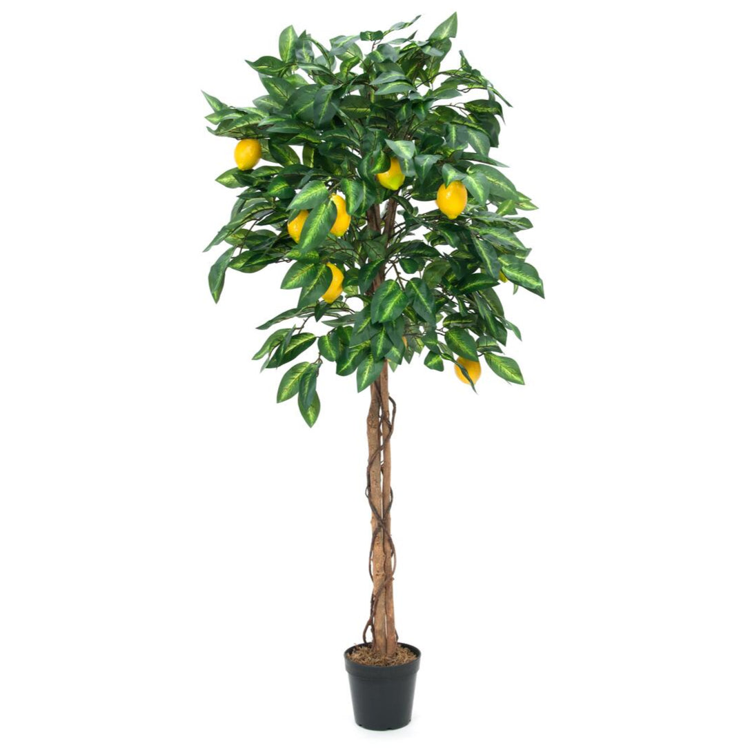 Großer künstlicher Zitronenbaum 180 cm mit naturgetreuen Blättern und Zitronen – ideal für mediterrane Raumgestaltung