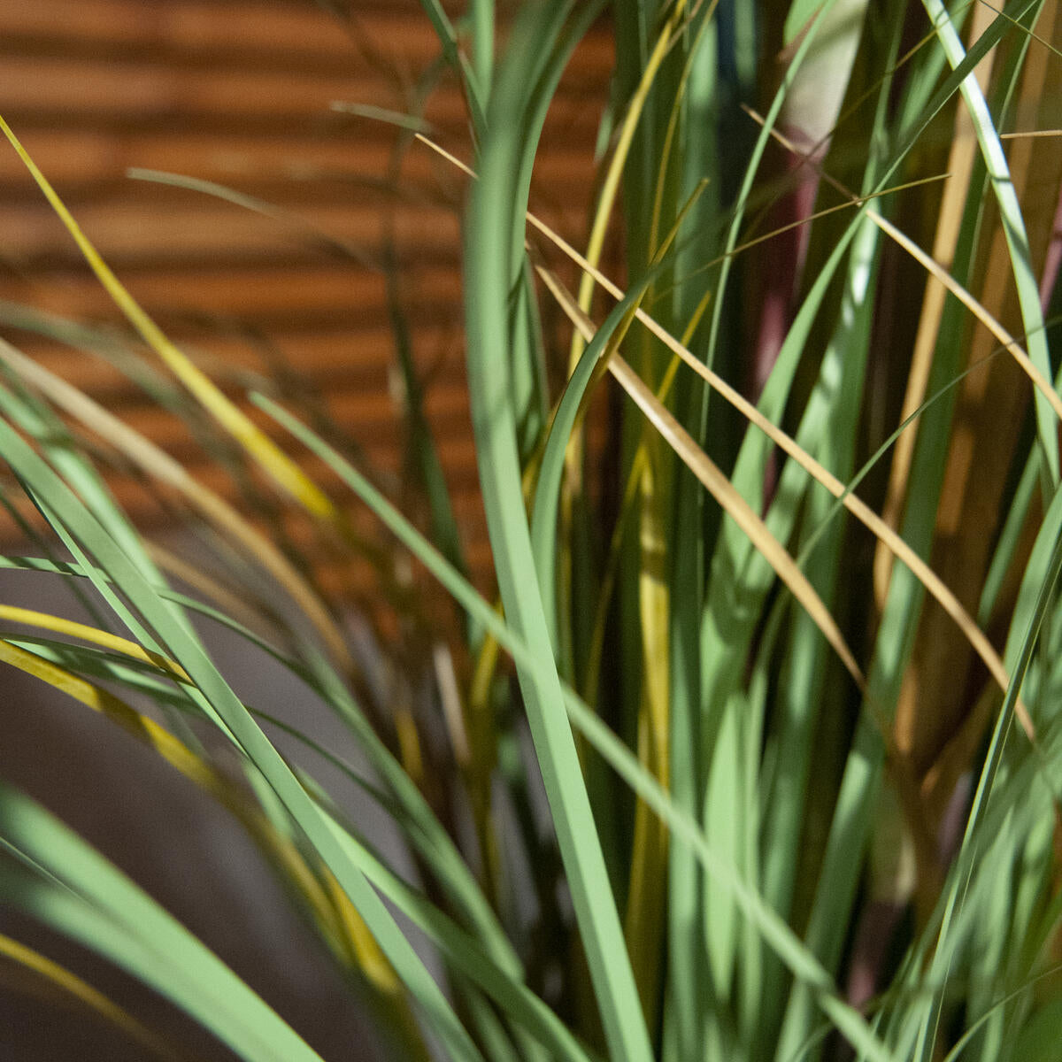 120 cm grosse Kunstpflanze Wildgrasstaude mit weichen Gruen- und Beigetoenen – ideal fuer Flur oder Buero