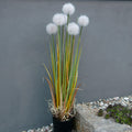 Deko-Pflanze Pusteblume in Weiss – kuenstlich, 107 cm hoch, fuer Wohnbereich oder Praxis