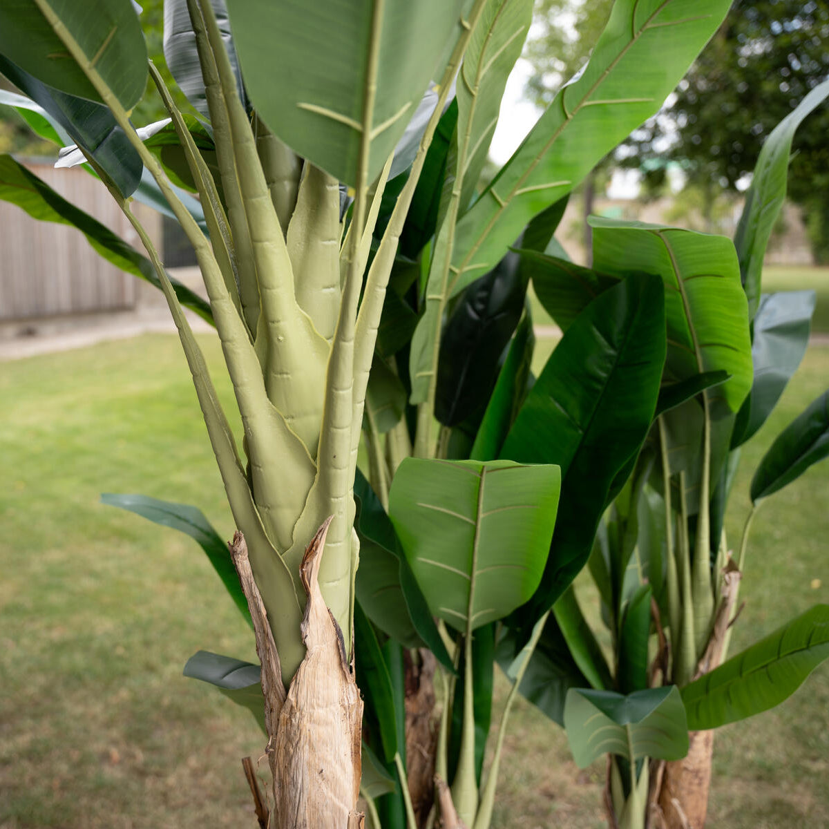 210 cm hoher Kunst-Bananenbaum mit breiten Blaettern und naturgetreuem Stamm – dekorativ und pflegeleicht
