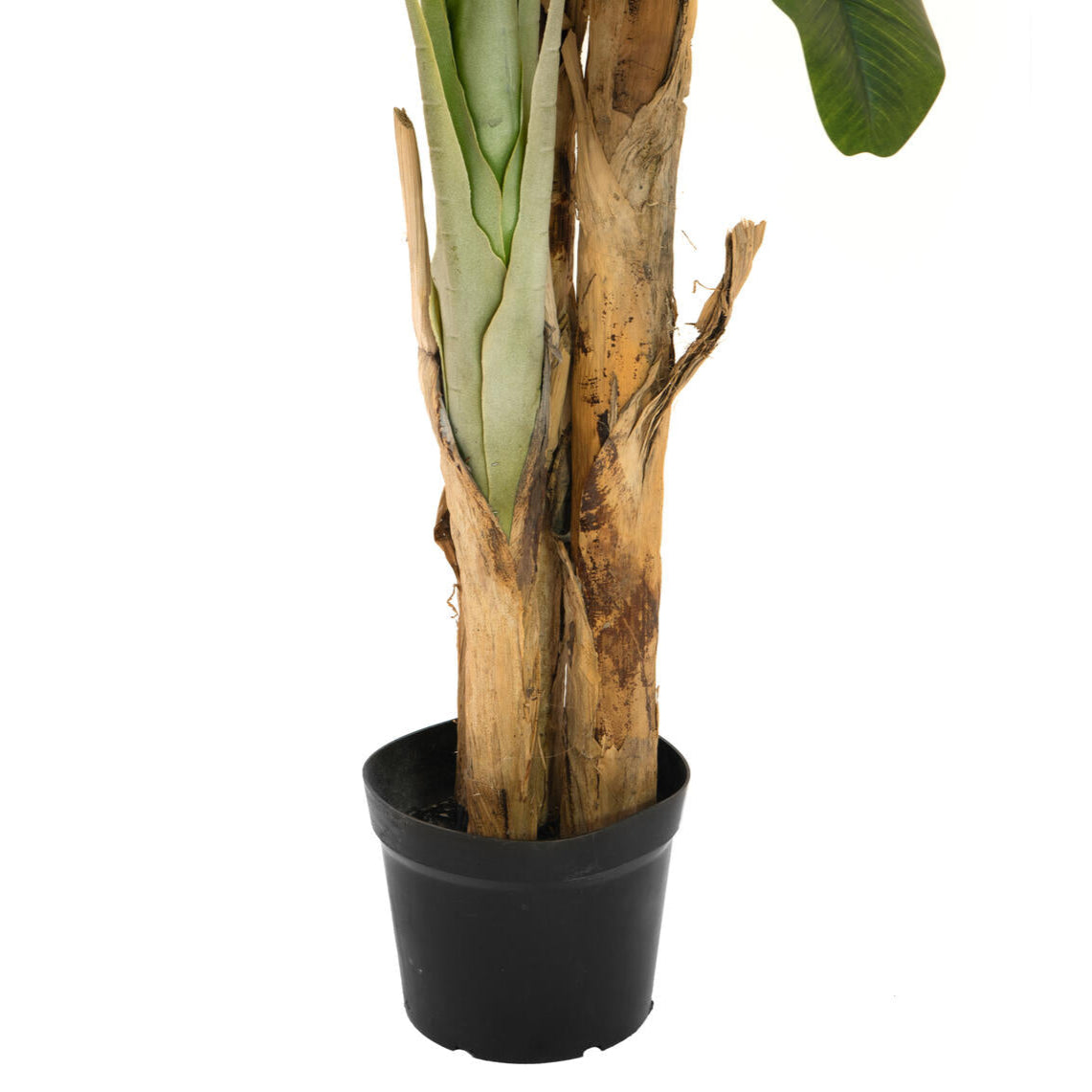 Bananenbaum Kunstpflanze mit breiten, realistischen Blaettern – 240 cm hoch, naturgetreue Verarbeitung