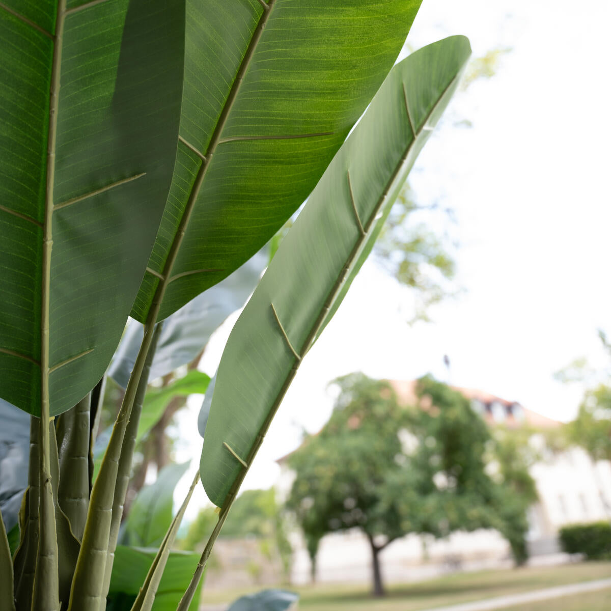 Bananenbaum Kunstpflanze 240 cm mit robustem Stamm und realistischen Palmwedeln