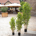 120 cm grosser Bambusbaum kuenstlich – naturnah gestaltet mit feiner Struktur