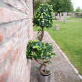 Ficusbaum 160 cm mit natuerlicher Wuchsform – kuenstliche Pflanze fuer langfristige Begruenung

