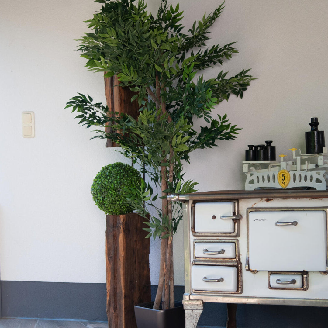Kunstpflanze Ficus Longifolia 165 cm mit natuerlichem Farbverlauf – fuer Wohnzimmer oder Empfang