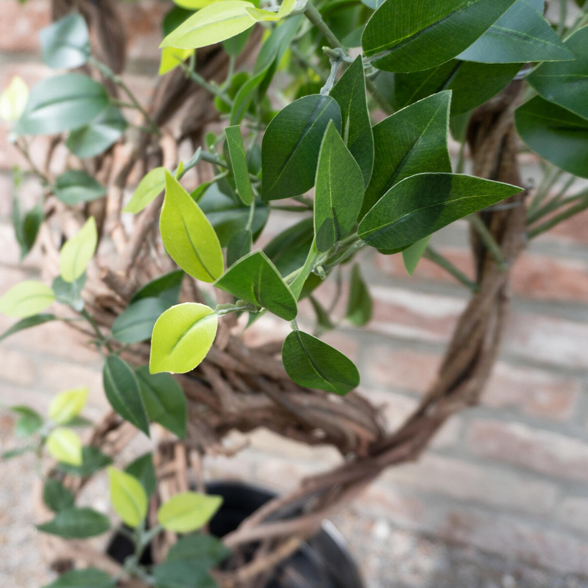 160 cm grosser Ficusbaum kuenstlich – pflegefrei und natuerlich, fuer Zuhause oder Gewerbe