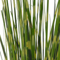 90 cm hohes Zebragras als Kunstpflanze mit gestreiften Halmen – stilvolle Dekoration fuer Wohnzimmer oder Flur