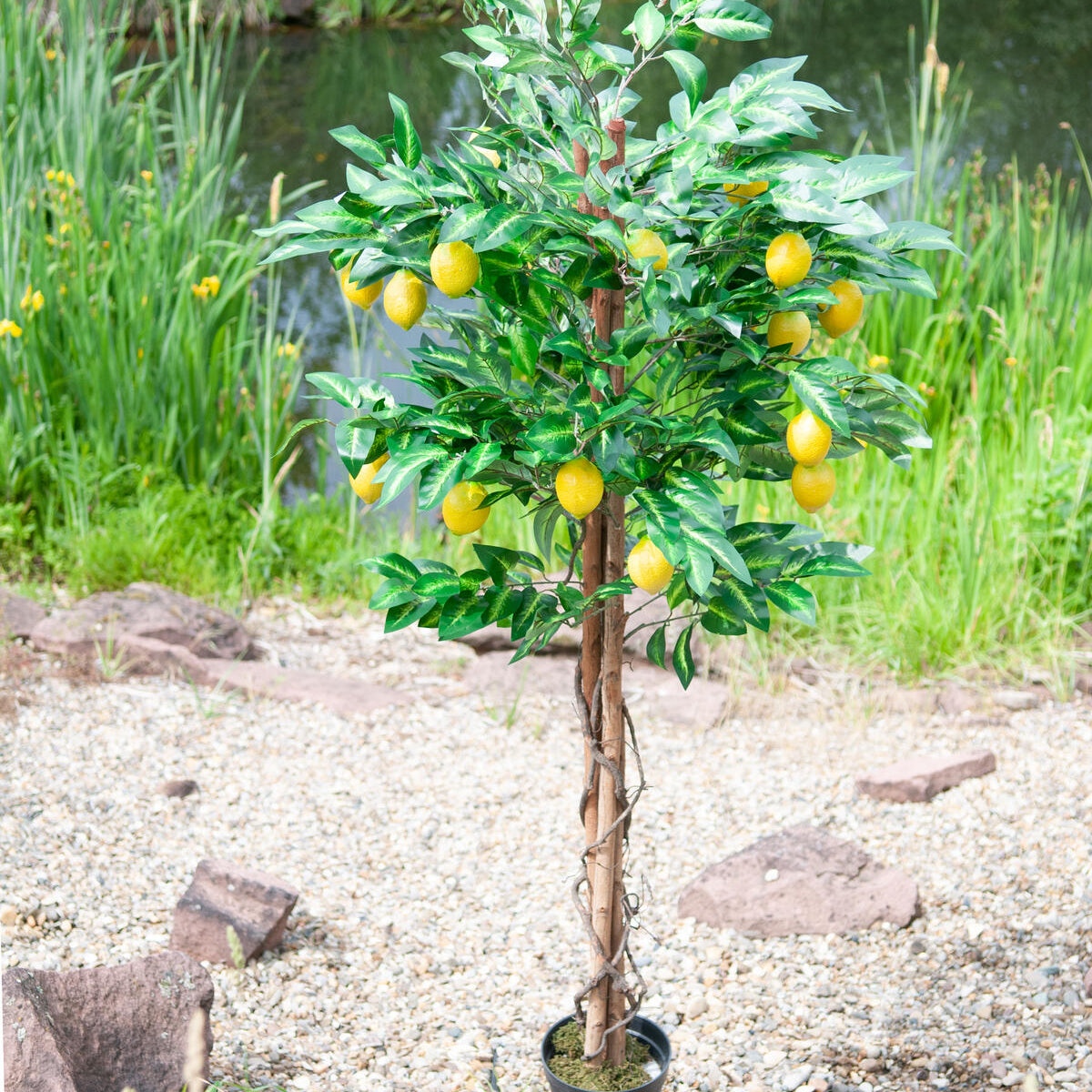 Hochwertiger Zitronenbaum künstlich mit grünen Blättern und gelben Früchten – 180 cm Deko-Baum