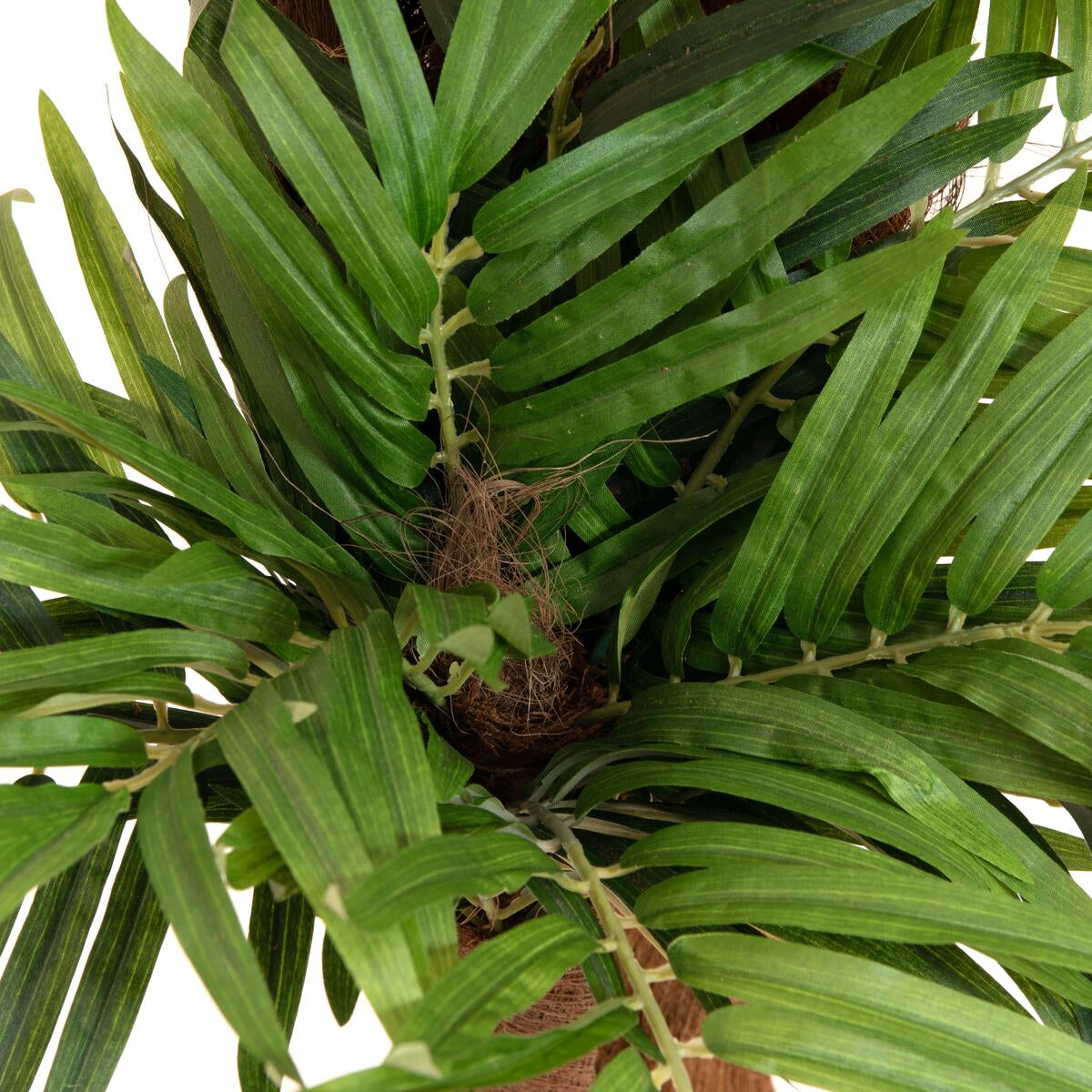 Kunstpalme Areca 170 cm mit schwarzem Topf – hochwertiges Deko-Element für Innenräume