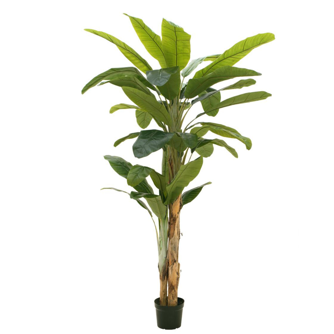 240 cm hoher Bananenbaum kuenstlich mit tropischem Look – ideal fuer Wohnzimmer, Hotel oder Wellnessbereich

