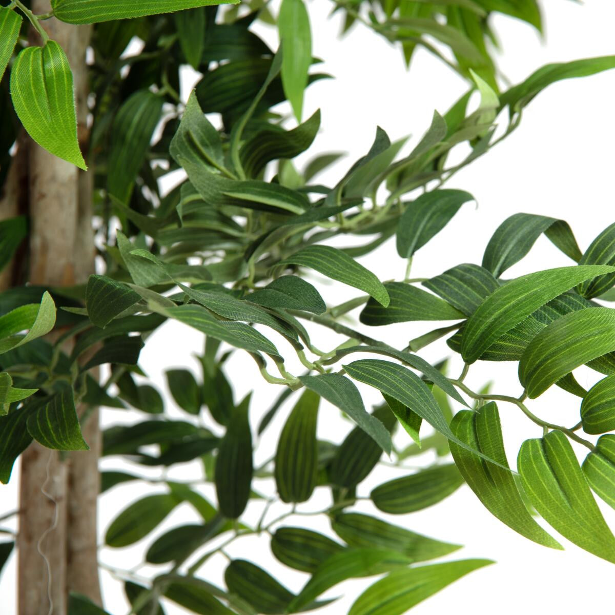 165 cm grosser Ficus Longifolia kuenstlich – naturnah gestaltet mit schmalem Blattwerk