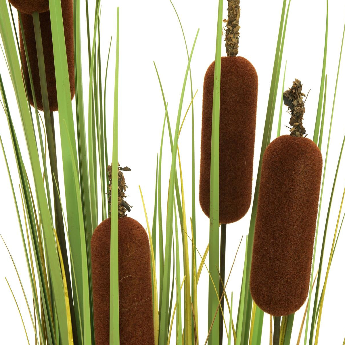 Kuenstlicher Rohrkolben mit langen, gruene Halmen und braunen Kolben – 150 cm fuer naturnahe Einrichtung