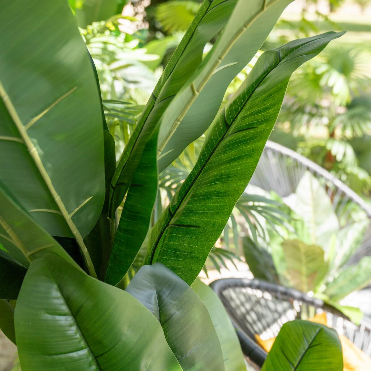 Kuenstliche Bananenpflanze mit dichter Blattstruktur – 210 cm hoch, perfekter Blickfang in grossen Raeumen