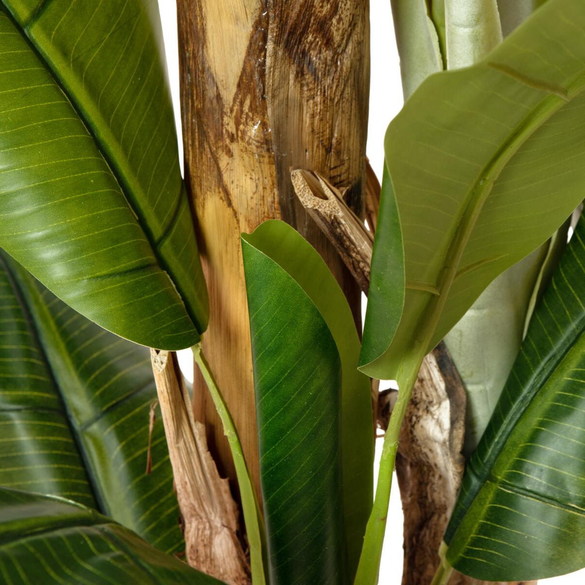 Grosser kuenstlicher Bananenbaum 240 cm fuer eindrucksvolle Innenraumgestaltung – pflegeleicht und formstabil