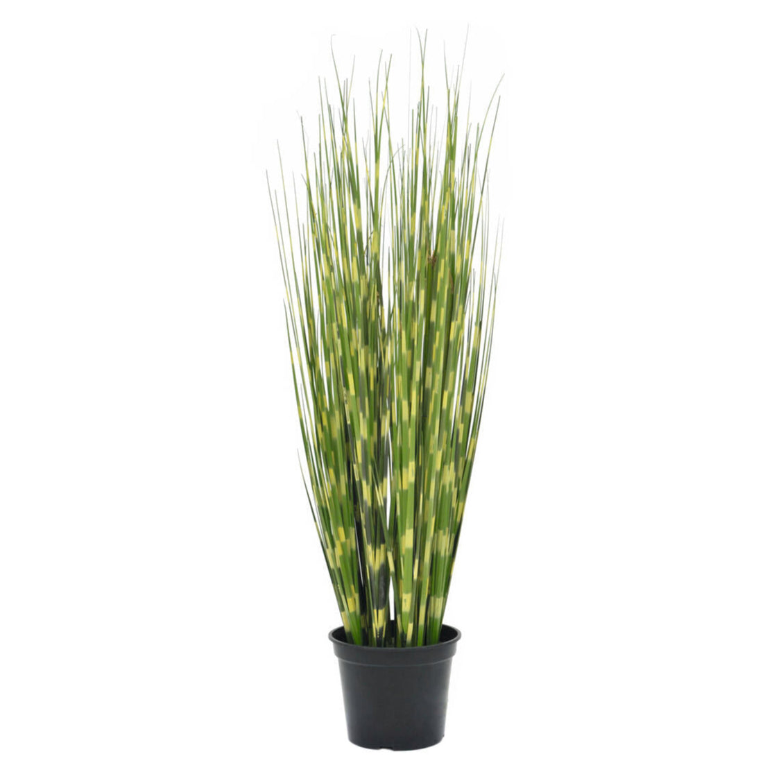 Kuenstliches Zebragras 90 cm hoch mit gruen-gelben Halmen – ideale Zierpflanze fuer moderne Innenraeume
