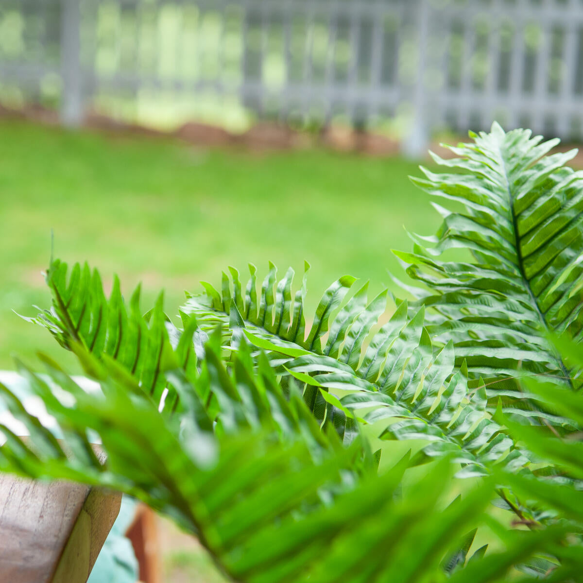 Stabiler Basistopf Ø 16 cm – hochwertige Cycas-Palme Kunstpflanze