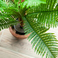 Detail der hochwertigen Cycas-Blätter – realistische Premium-Kunstpflanze