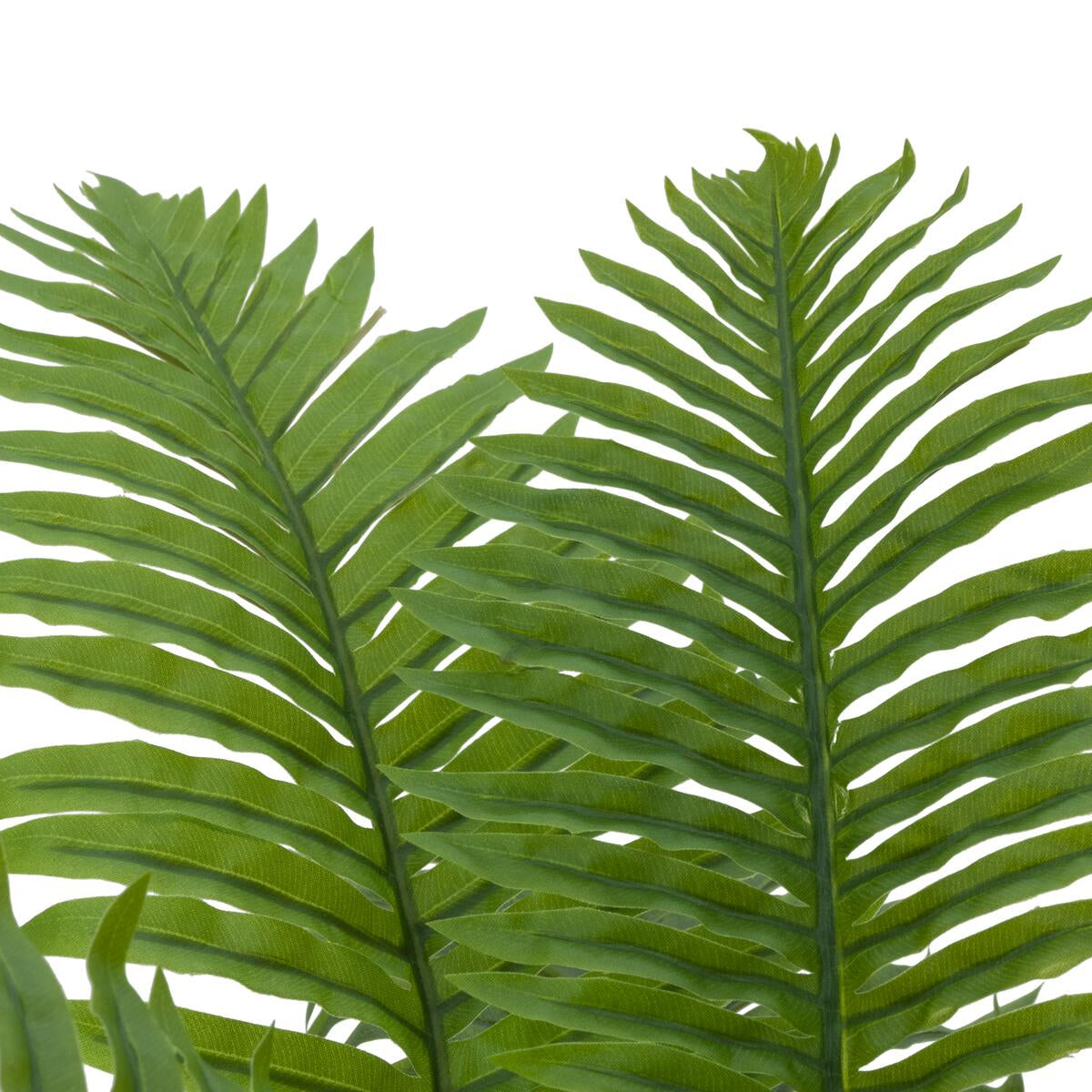 Hochwertige Cycas-Palme als Kunstpalme mit realistischer Blattstruktur und feinen Wedeln