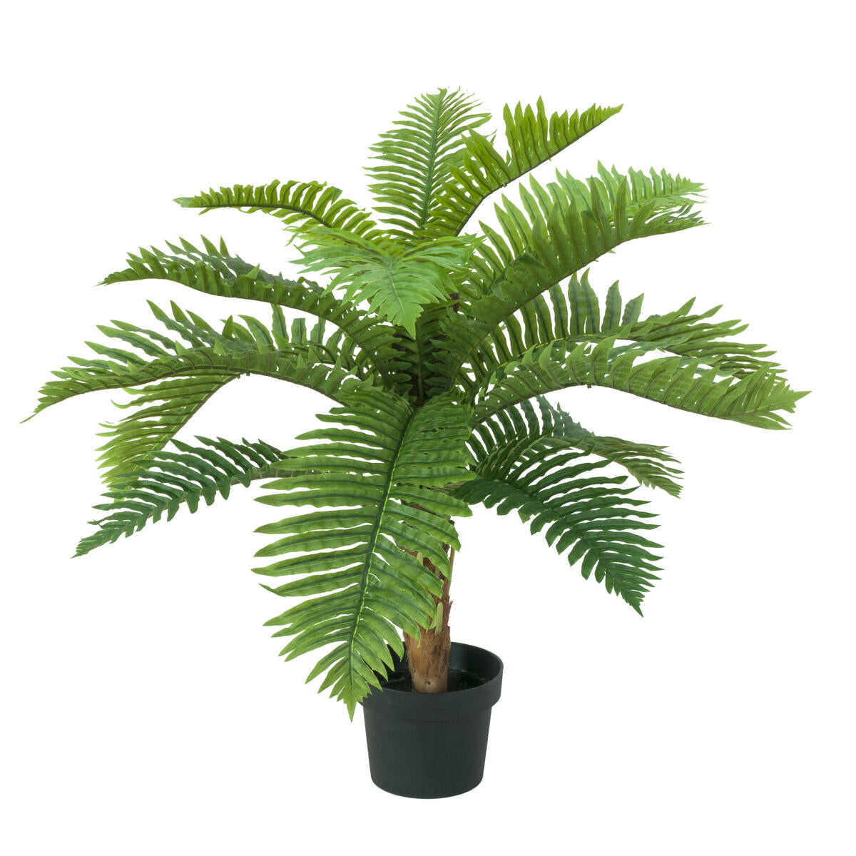 Cycas-Palme Kunstpflanze 70 cm – hochwertige Premium-Qualität, realistische Optik