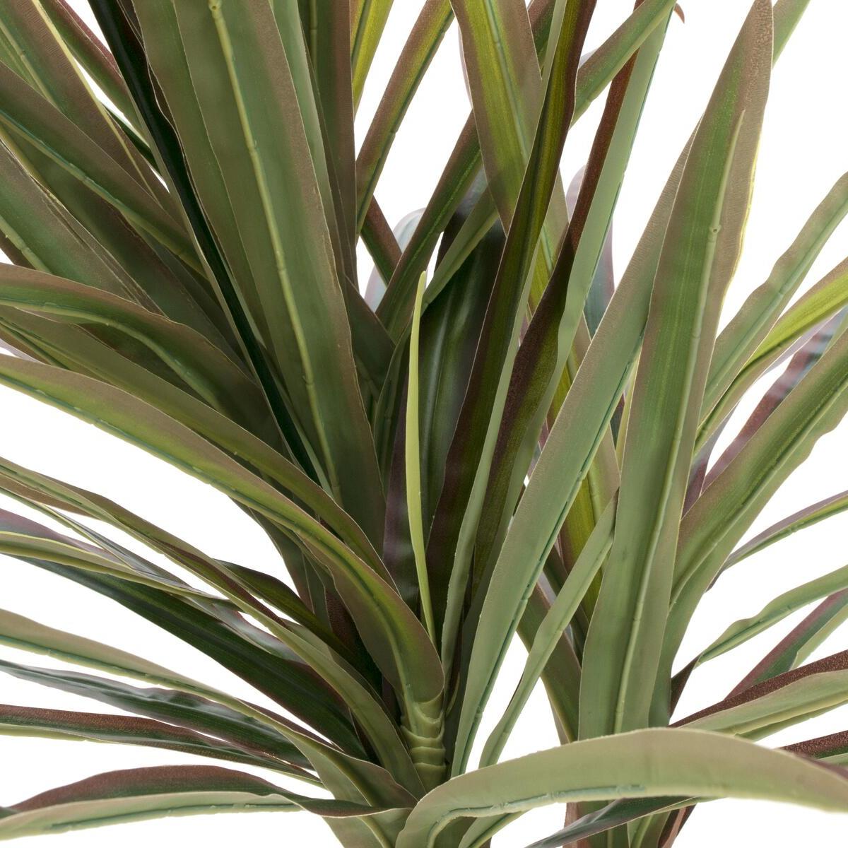 Detailaufnahme des Stamms der Dracaena 120 cm mit realistischer Struktur.