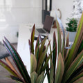 Künstliche Dracaena 120 cm neben einem Hängesessel in heller Wohnumgebung.